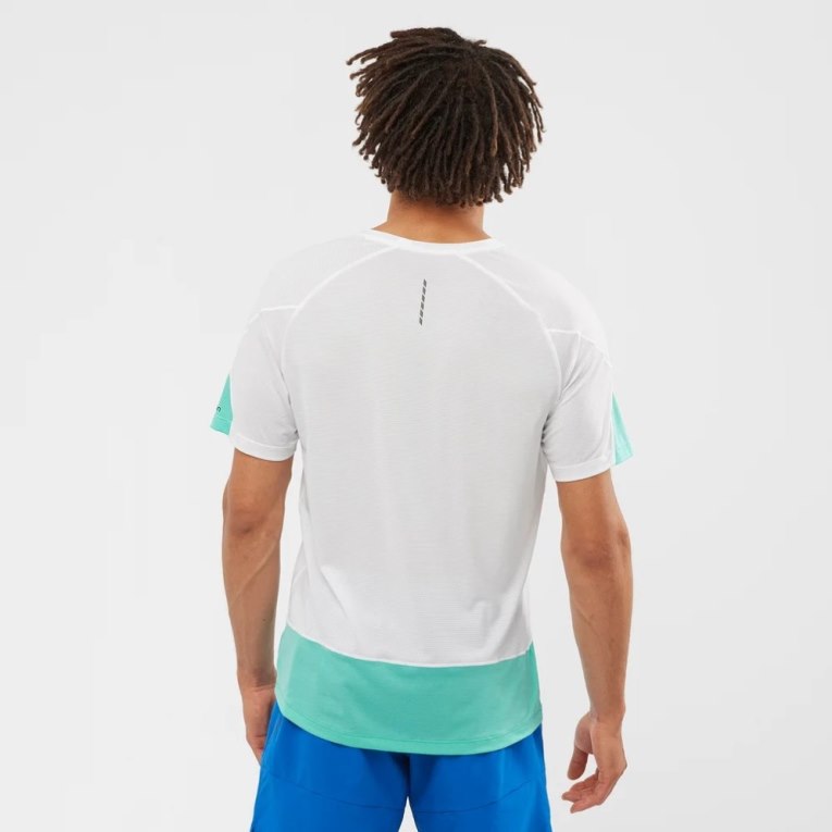 White / Turquoise Salomon Cross Run Graphic Short Sleeve Men's T-Shirts | PH 68591W